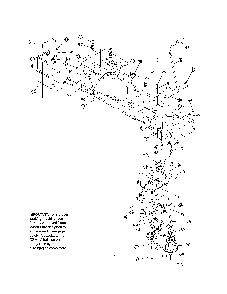 Frame/gears Diagram and Parts List for 13AR606P730  MTD Lawn Tractor