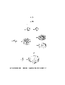 Flywheel Diagram and Parts List for 11A-A1BW799  MTD Lawn Mower