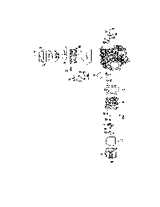 Cylinder head/breather Diagram and Parts List for 17BSDALD099  MTD Lawn Tractor