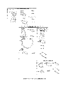 Gasket sets Diagram and Parts List for PGT9500  MTD Lawn Tractor