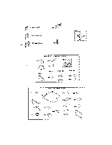 Gasket sets Diagram and Parts List for 13BL78XT099  MTD Lawn Tractor
