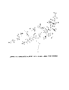 Engine controls Diagram and Parts List for 17BSDALB099  MTD Lawn Tractor