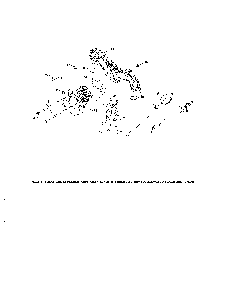 Fuel system Diagram and Parts List for 14B7A3ZQ099  MTD Lawn Tractor
