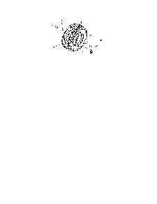 Wheel assembly Diagram and Parts List for 644E  MTD Snow Blower