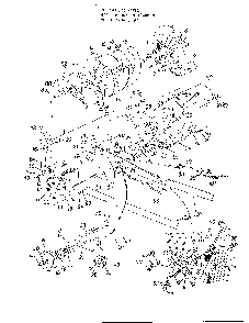 Snow thrower attachment Diagram and Parts List for 33848D  MTD Snow Blower