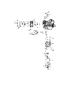 Cylinder head/breather Diagram and Parts List for 14B7A3ZW299  MTD Lawn Tractor