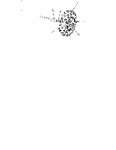 Part Location Diagram of 734-1709A MTD Wheel Assembly Complete