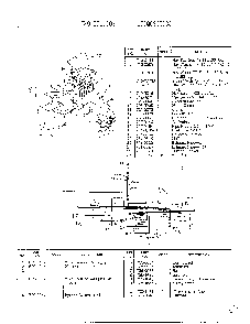 Electrical system Diagram and Parts List for 3310001  MTD Lawn Tractor