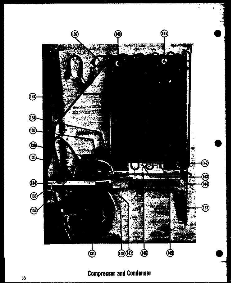 COMPRESSOR AND CONDENSER Diagram and Parts List for SRI22E  Amana Refrigerator