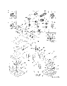 Burner Diagram and Parts List for 79075422410  Kenmore Range
