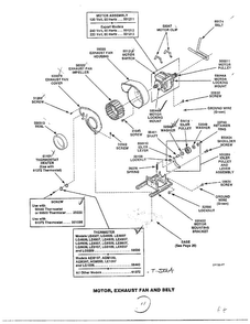 Motor/exhaust Fan And Belt Diagram and Parts List for 7493-LEM437  Amana Dryer