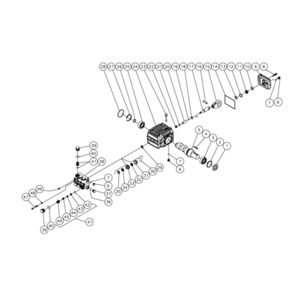 Pump Diagram and Parts List for HHS-1003-1E1A  Mi-T-M Pressure Washer
