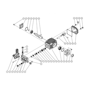 Pump Diagram and Parts List for CA-2703-1MMK  Mi-T-M Pressure Washer