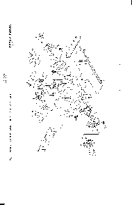 20" rotary lawn mower Diagram and Parts List for 0-22651X9  Murray Lawn Mower