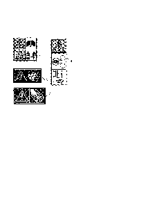 Decals Diagram and Parts List for 96192006701  Poulan Snow Blower