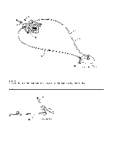 Lever/cable rotator/steer cable Diagram and Parts List for 96198004601  Poulan Snow Blower