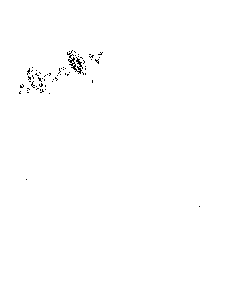 Skid plate Diagram and Parts List for 96192007104  Poulan Snow Blower