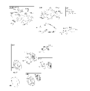 Part Location Diagram of 691025 Poulan Casing wire
