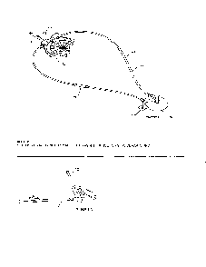 Lever/cable rotator/steer cable Diagram and Parts List for 96198004604  Poulan Snow Blower