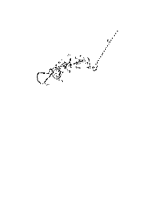 Drive assembly Diagram and Parts List for 96182001702  Poulan Snow Blower