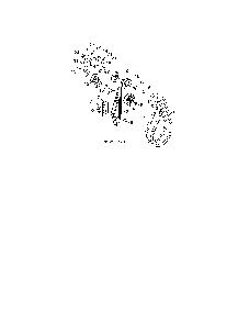 Impeller & traction belts Diagram and Parts List for 96198004604  Poulan Snow Blower