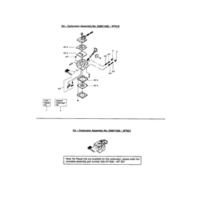 Carburetor Diagram and Parts List for S31SNG RECON Poulan Trimmer