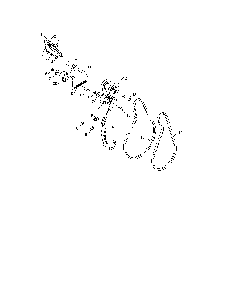 Part Location Diagram of 19111216 Poulan Washer
