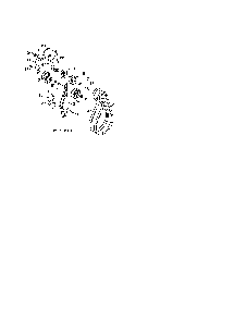 Impeller & traction belts Diagram and Parts List for PR624ES-96198004603  Poulan Snow Blower