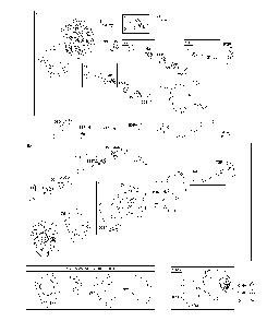 Part Location Diagram of 594515 Briggs and Stratton Retainer-Valve Spring