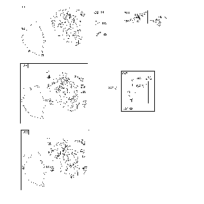 Part Location Diagram of 594519 Briggs and Stratton Screw