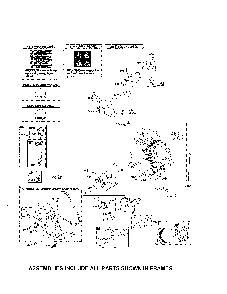 Cylinder/crankshaft Diagram and Parts List for 96192008900  Poulan Snow Blower