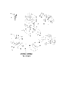 Engine Diagram and Parts List for 96012000302  Poulan Lawn Tractor