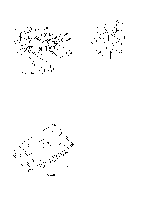 Part Location Diagram of 585742603 Poulan Engine