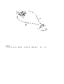 Lever/cable rotator Diagram and Parts List for 96192003703  Poulan Snow Blower
