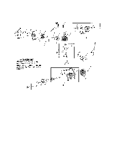 Muffler/cylinder/crankcase Diagram and Parts List for PP320 (ROW)(TYPE 2) Poulan Leaf Blower / Vacuum