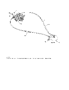 Lever/cable rotator Diagram and Parts List for 96192003700  Poulan Snow Blower