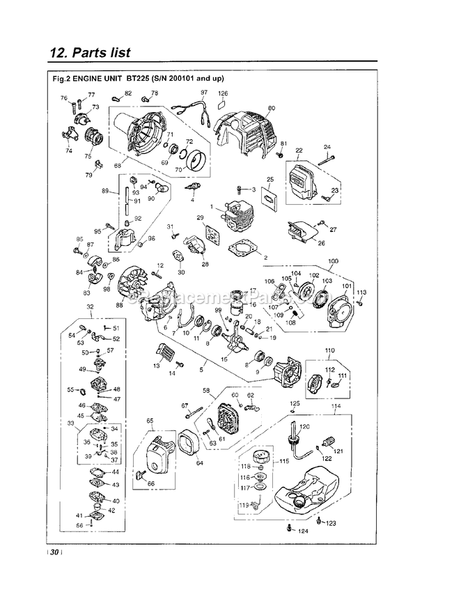 Engine Diagram and Parts List for BT225 200101 - 50099999 RedMax Edger