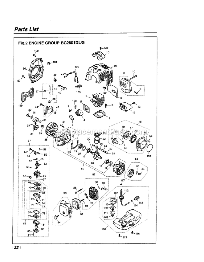 Engine Diagram and Parts List for BC2601DLS 900101 AND UP RedMax Edger