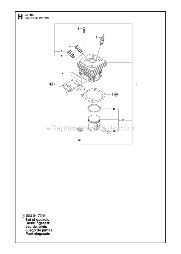 Cylinder Piston Diagram and Parts List for GZ7100  RedMax Chainsaw