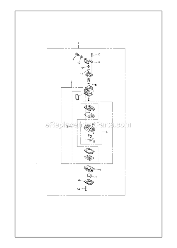 Carburetor Details Diagram and Parts List for PSTZ260S (970450001)(2019-10) RedMax Pole Saw