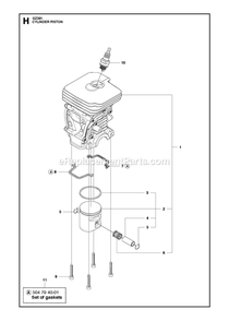 Cylinder Piston Diagram and Parts List for GZ381  RedMax Chainsaw