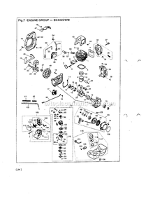 Engine Diagram and Parts List for BC442DWM 502262 - 660000 RedMax Brush Cutter