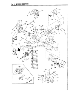 Engine Diagram and Parts List for BC220DL 000001 AND UP RedMax Edger