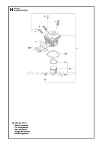Cylinder Piston Diagram and Parts List for GZ7100  RedMax Chainsaw