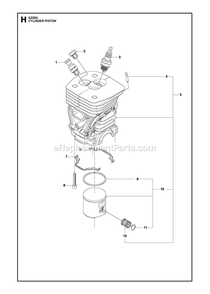 Cylinder Piston Diagram and Parts List for GZ550  RedMax Chainsaw