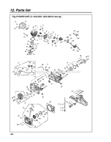 Engine Diagram and Parts List for HC510DV 200101 AND UP RedMax Pole Saw