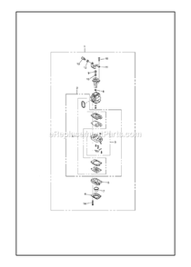 Carburetor Details Diagram and Parts List for PSTZ260S (970450001)(2019-10) RedMax Pole Saw