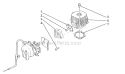 Cylinder Diagram and Parts List for HT20  Shindaiwa Hedge Trimmer