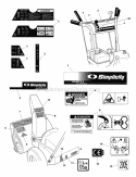 Decals Group (4248Dcl) Diagram and Parts List for 1694836  Simplicity Snow Blower