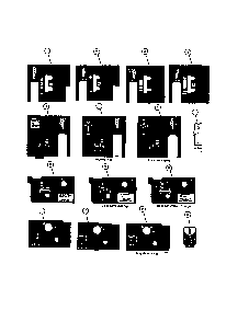 Part Location Diagram of 7043816 Snapper Decal, Oil